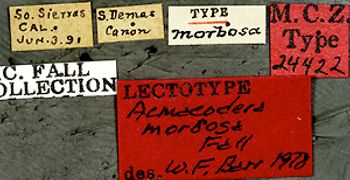 Media type: image;   Entomology 24422 Aspect: labels
